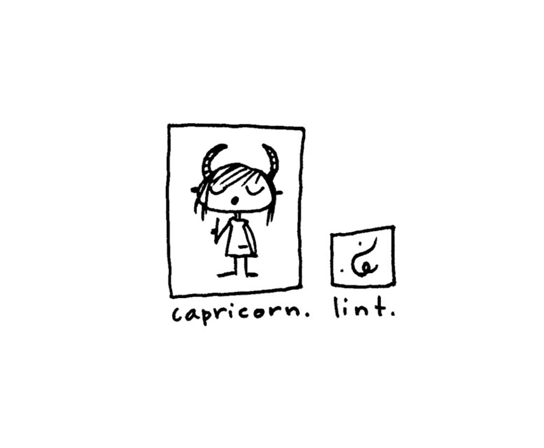 capricorn + lint