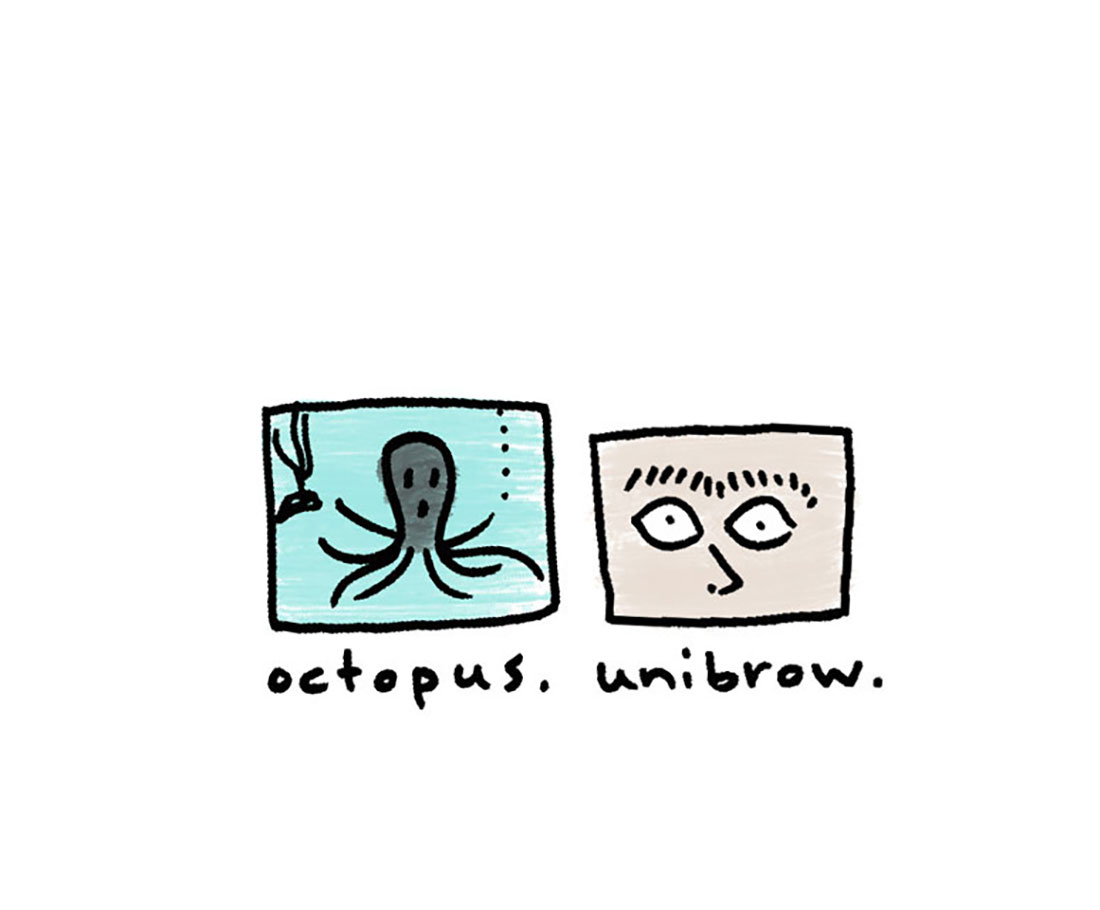 octopus + unibrow